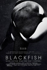 Cover shows a killer whale and the title, "Blackfish"