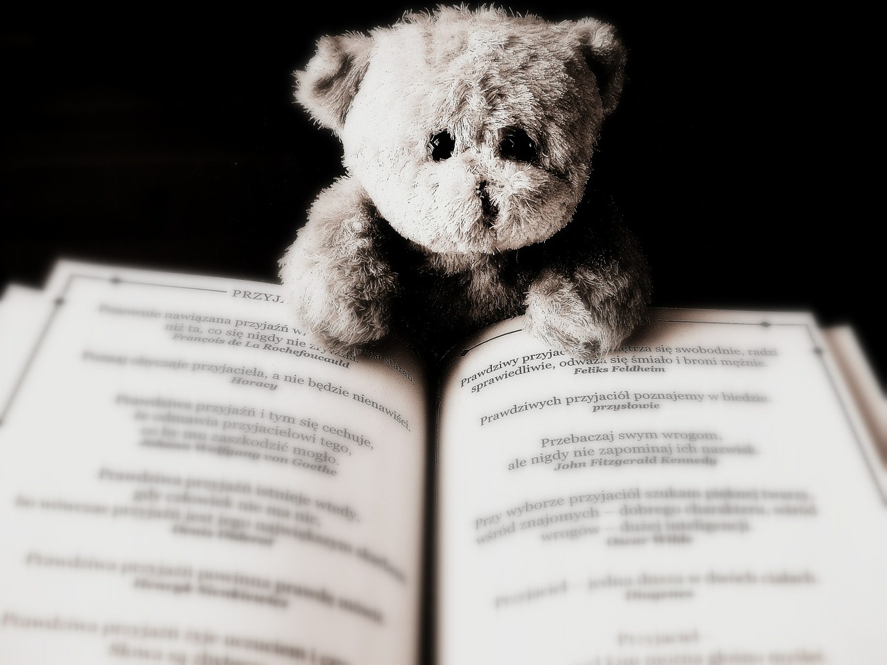 A small teddy bear reading a book.
