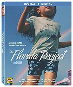 Forida Project DVD cover