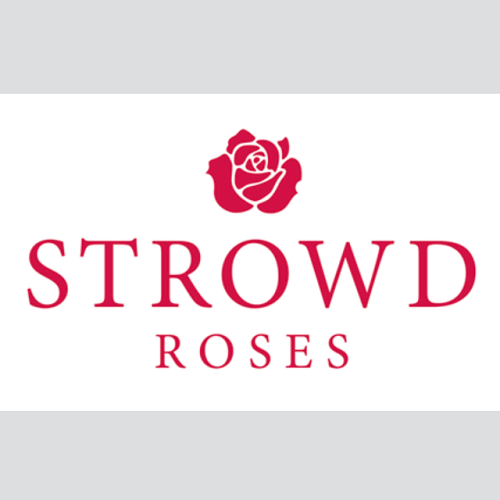 logo strowd roses