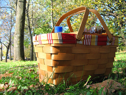 rattan picnic basket on the grass with a bottle of water peeking out 