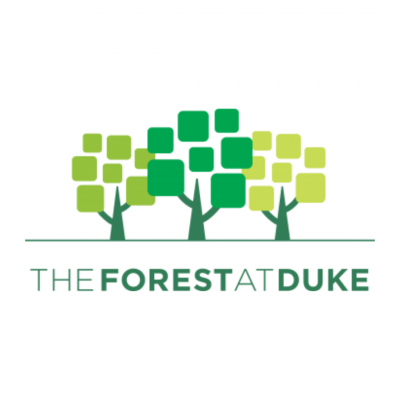 Forest at Duke