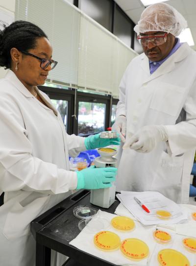 two people working on lab project