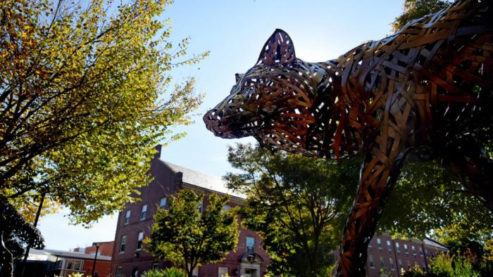 photo of wolf statue on nc state campus