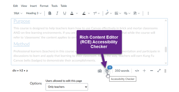 Rich Content Editor interface with the Accessibility Checker tool located below the editor.