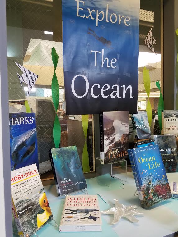 library display window