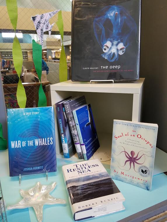 Library display window