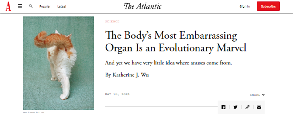 The Atlantic "The Body's Most Embarrassing Organ Is an Evolutionary Marvel" by Katherine J. Wu-- Tagline: And yet we have very little idea where anuses come from. 