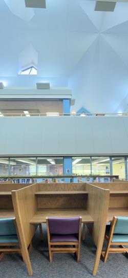 downstairs study carrel with natural light and view of the lovely geometric celing