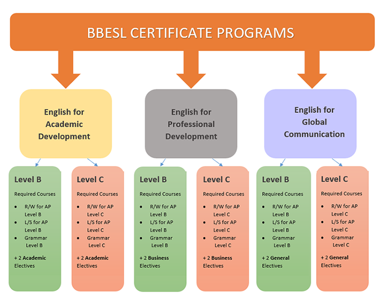 Certificate Program graphic. See description below