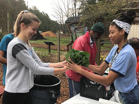 a group of student work in the Briggs Avenue garden getting plants ready for distributing