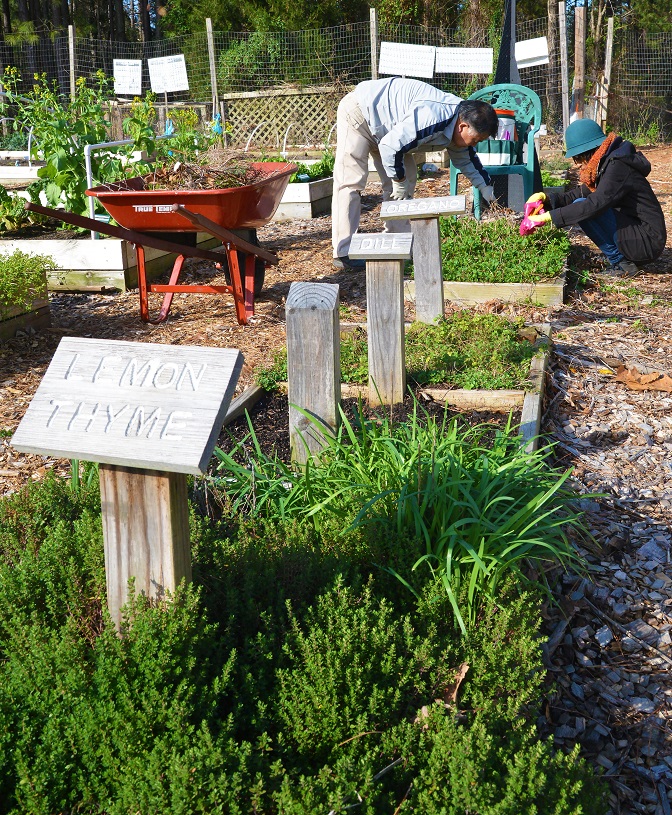 two people leaning over in herb garden