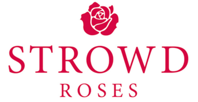 logo strowd roses