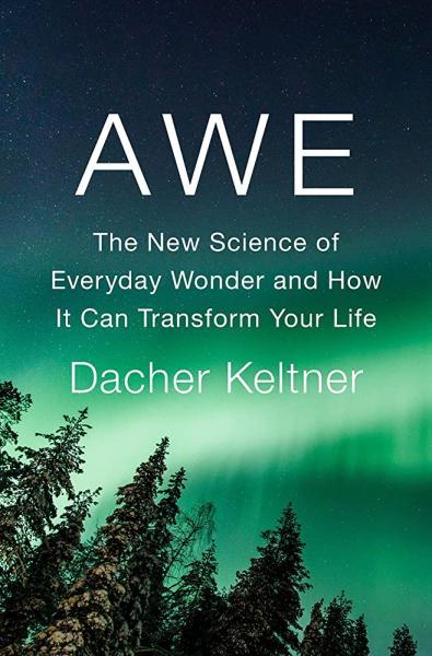 awe: the new science of everyday wonder and how it can transform your life by dacher keltner