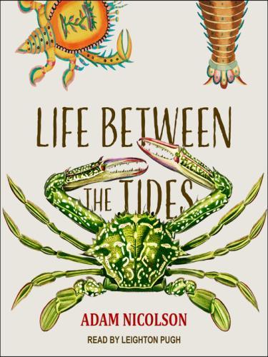 Life Between the Tides by Adam Nicolson, narrated by Leighton Pugh