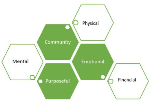 interlocking blocks with the words  physical, community, financial, mental, purposeful, and emotional