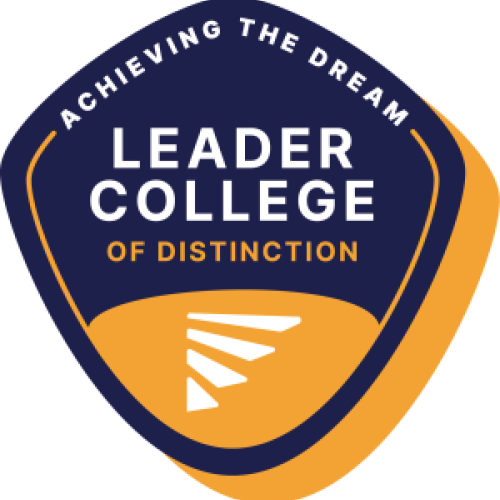 Leader College of Distinction