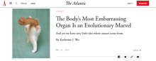 The Atlantic "The Body's Most Embarrassing Organ Is an Evolutionary Marvel" by Katherine J. Wu-- Tagline: And yet we have very little idea where anuses come from. 