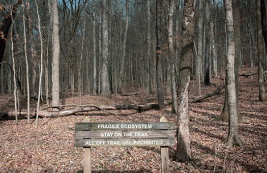 forest with park sign about fragile ecosystem and staying on the trail
