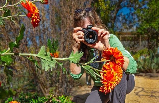 Student holding a camera to their face and taking a photo of a marigold flower