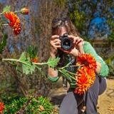 Student holding a camera to their face and taking a photo of a marigold flower